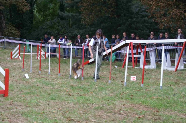 foire-haricots 2011-09-17et18